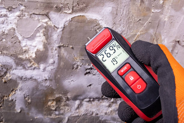 Pipestone, MN Mold Removal Company